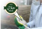 Azərbaycanda 14 müəssisə “HALAL” sertifikatı almaq istəyir