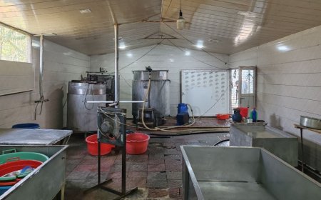 Pendir sexində nöqsanlar aşkarlanıb