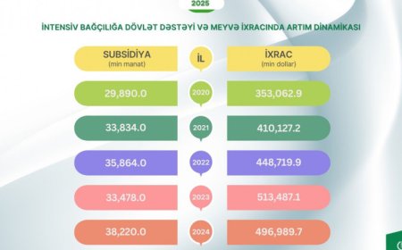 Səmərəli subsidiya siyasəti