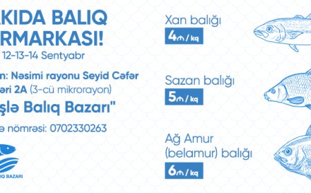 Sabahdan Bakıda balıq yarmarkası fəaliyyət göstərəcək