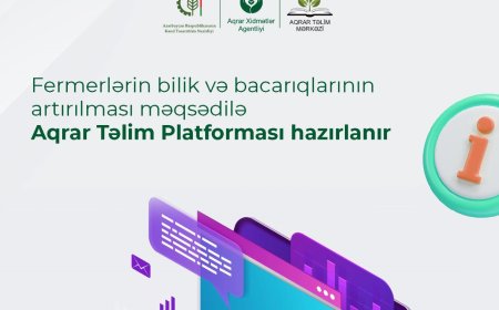 Fermerlərə şad xəbər - yeni platforma hazırlanır