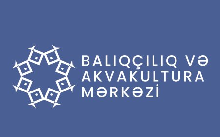 Balıq ehtiyatlarının qiymətləndirilməsi üzrə ekspedisiya başlayır
