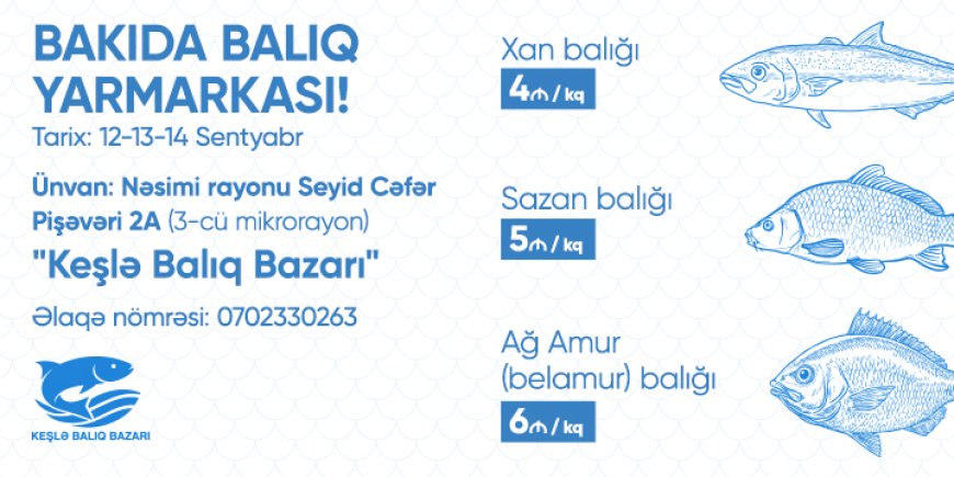 Sabahdan Bakıda balıq yarmarkası fəaliyyət göstərəcək