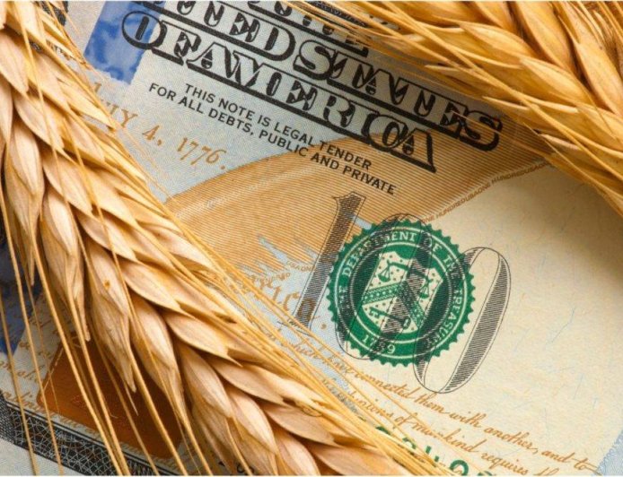 9 ayda buğda idxalına 189 milyon dollar xərcləndi