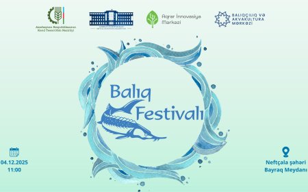 Neftçalada Balıq Festivalı keçiriləcək